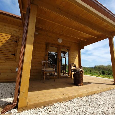 Villa Quinta Dos Mangues à São Martinho do Porto Extérieur photo