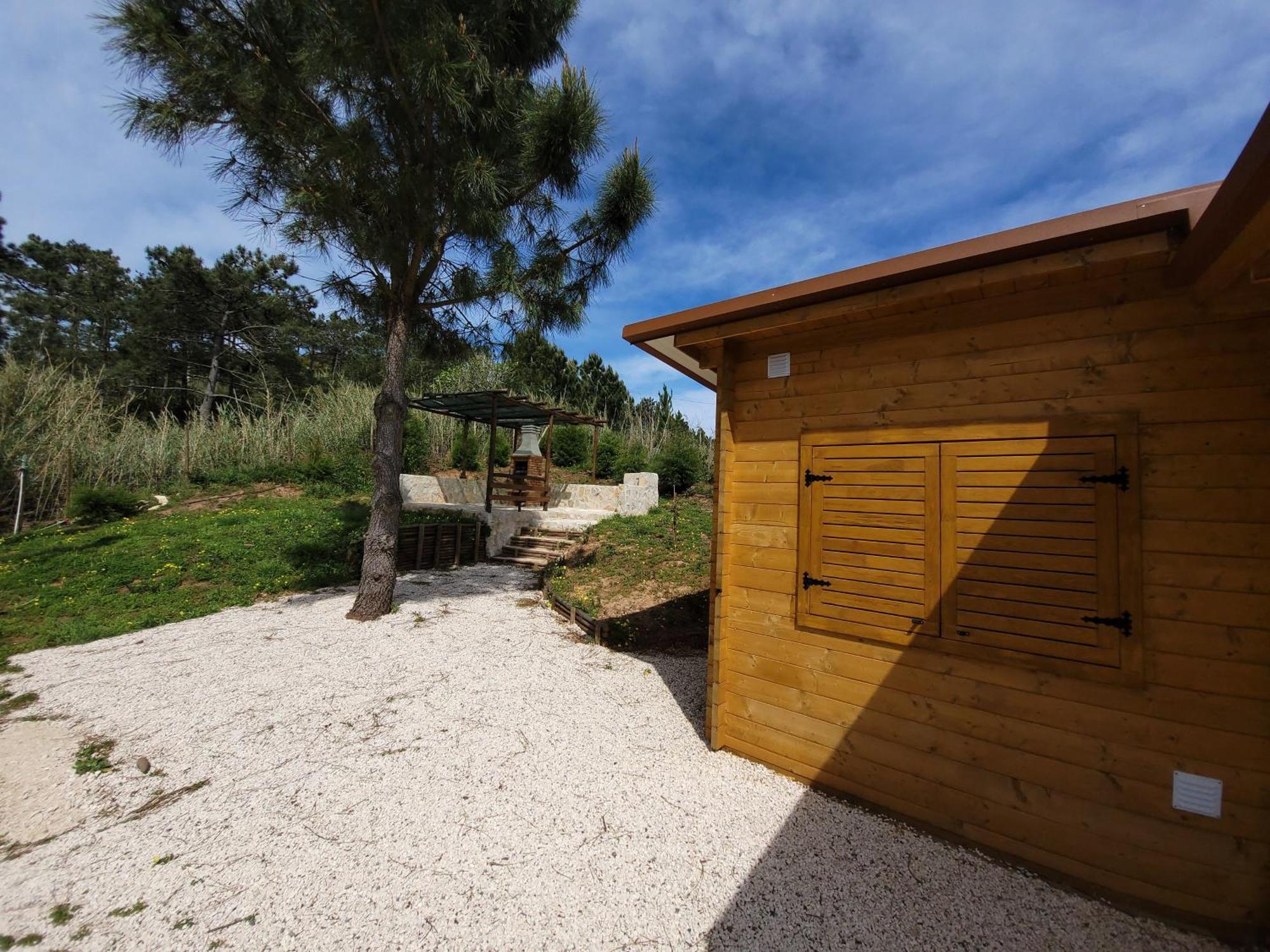 Villa Quinta Dos Mangues à São Martinho do Porto Extérieur photo