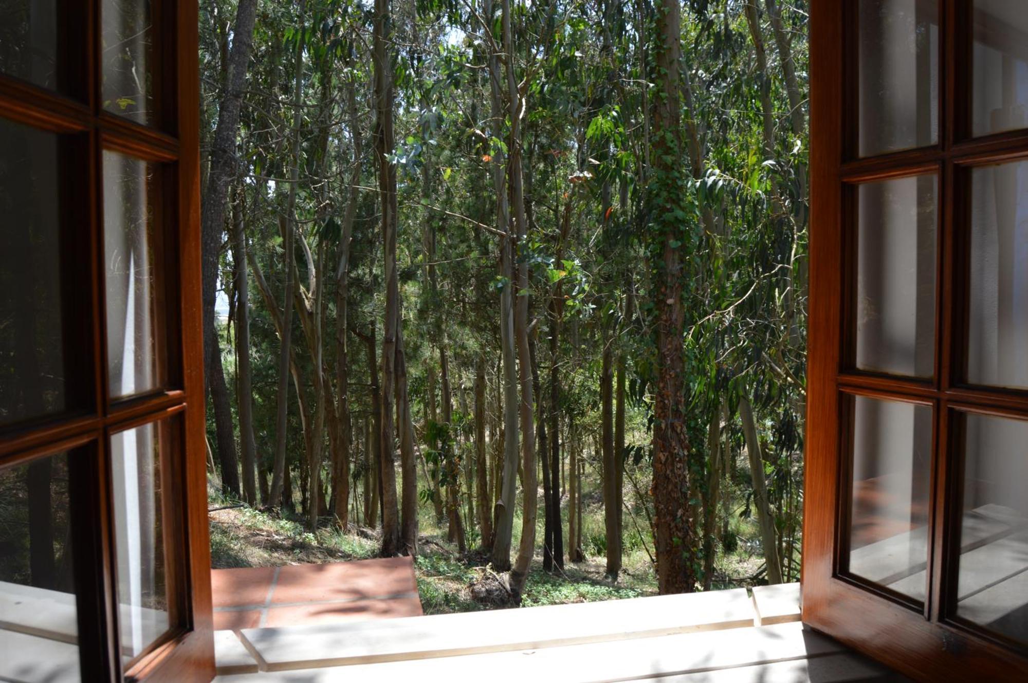 Villa Quinta Dos Mangues à São Martinho do Porto Chambre photo