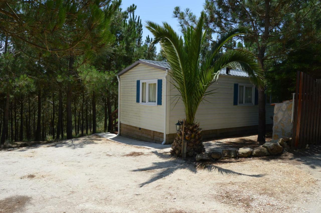 Villa Quinta Dos Mangues à São Martinho do Porto Extérieur photo