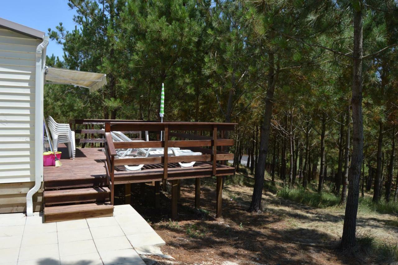 Villa Quinta Dos Mangues à São Martinho do Porto Extérieur photo