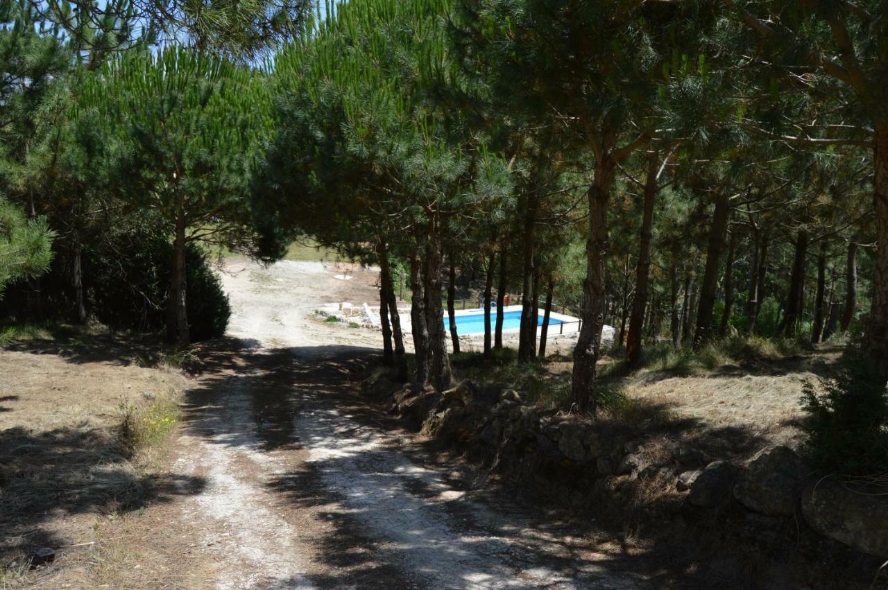 Villa Quinta Dos Mangues à São Martinho do Porto Extérieur photo