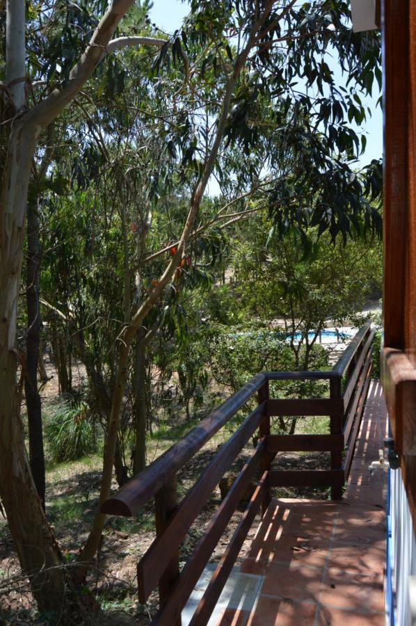 Villa Quinta Dos Mangues à São Martinho do Porto Extérieur photo